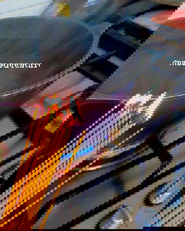 tuliprivet tuliprivet archive image