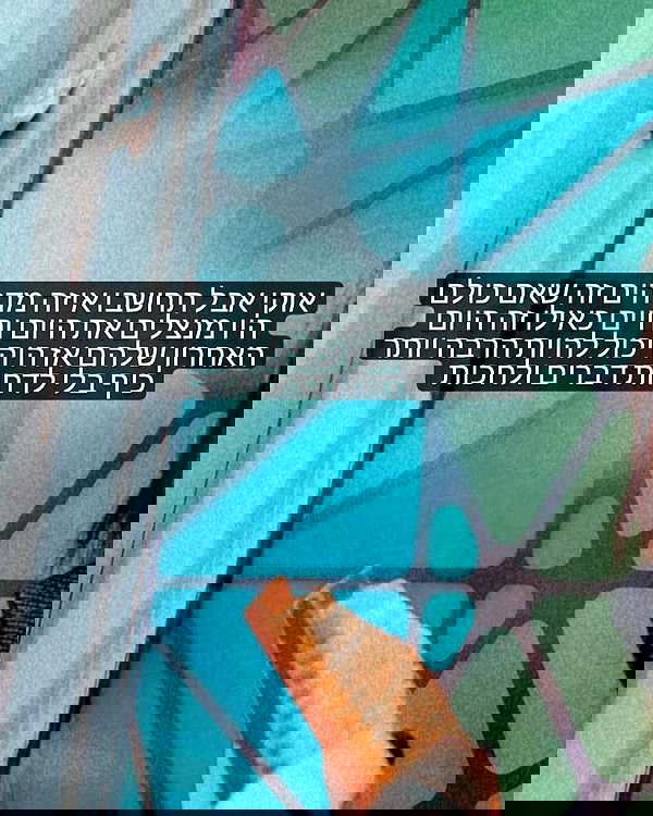 tuliprivet tuliprivet archive image