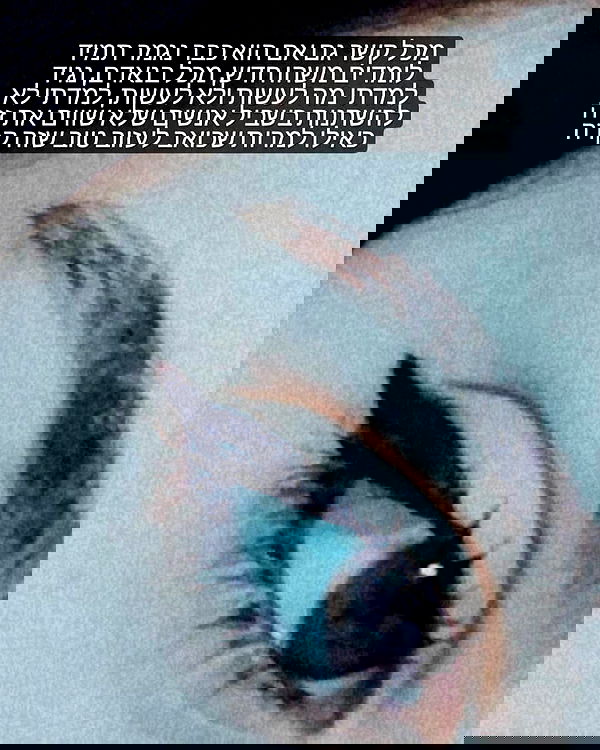 tuliprivet tuliprivet archive image