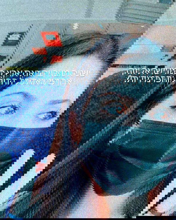 tuliprivet tuliprivet archive image