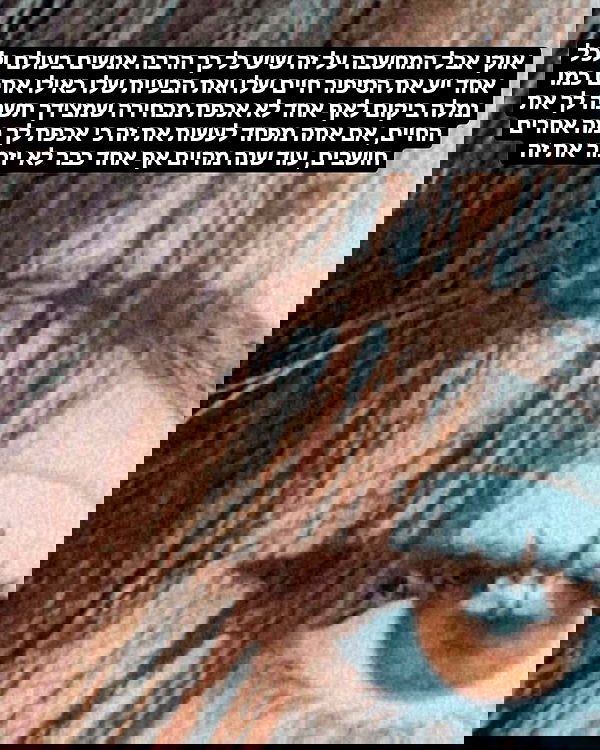 tuliprivet tuliprivet archive image