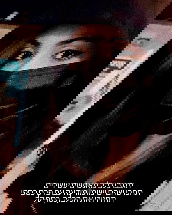 tuliprivet tuliprivet archive image