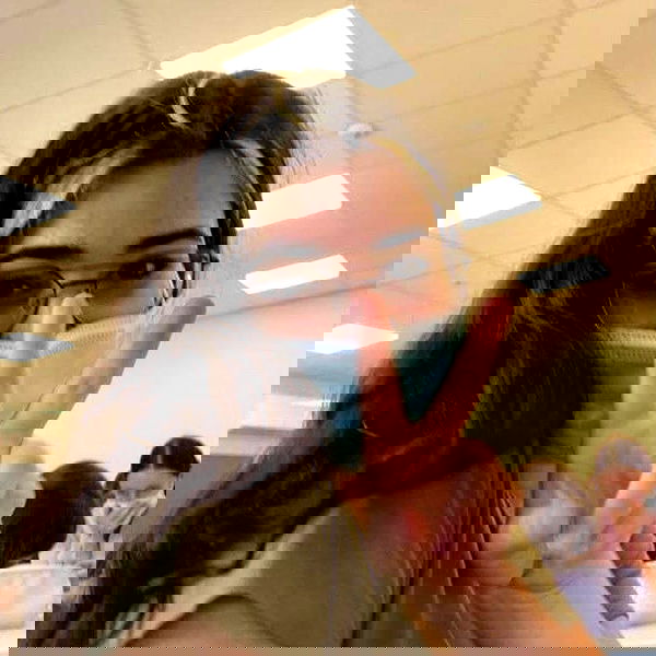 tuliprivet tuliprivet archive image