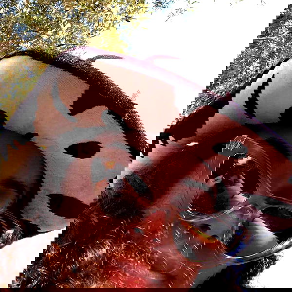 tuliprivet tuliprivet archive image