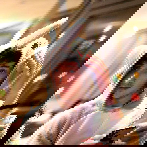 tuliprivet tuliprivet archive image