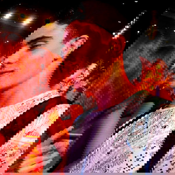 tuliprivet tuliprivet archive image