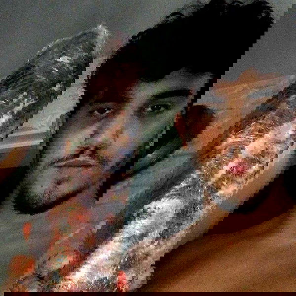 tuliprivet tuliprivet archive image