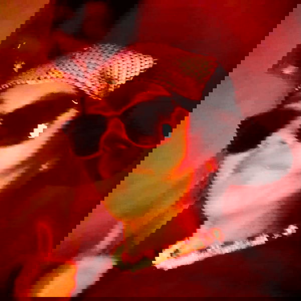 tuliprivet tuliprivet archive image