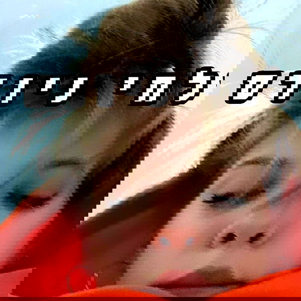 tuliprivet tuliprivet archive image