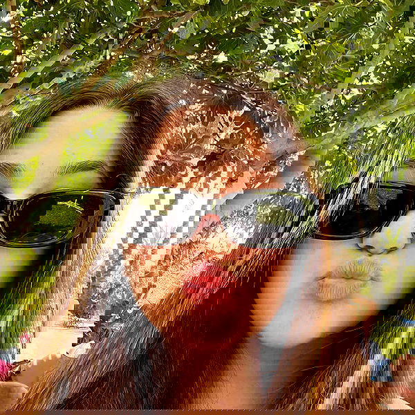 tuliprivet tuliprivet archive image