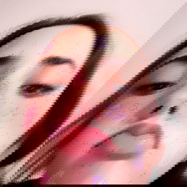 tuliprivet tuliprivet archive image