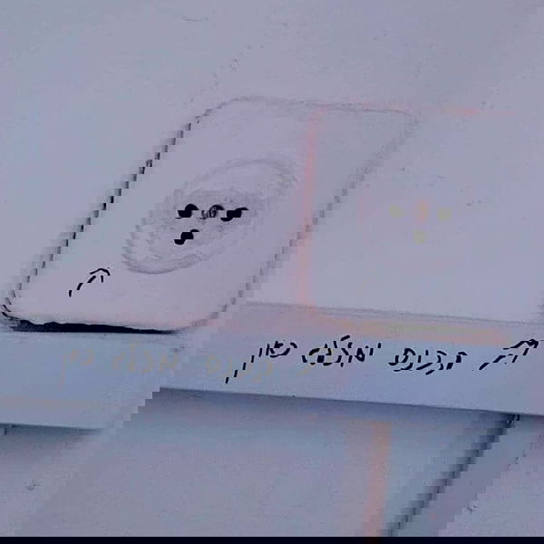 tuliprivet tuliprivet archive image