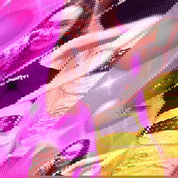 tuliprivet tuliprivet archive image