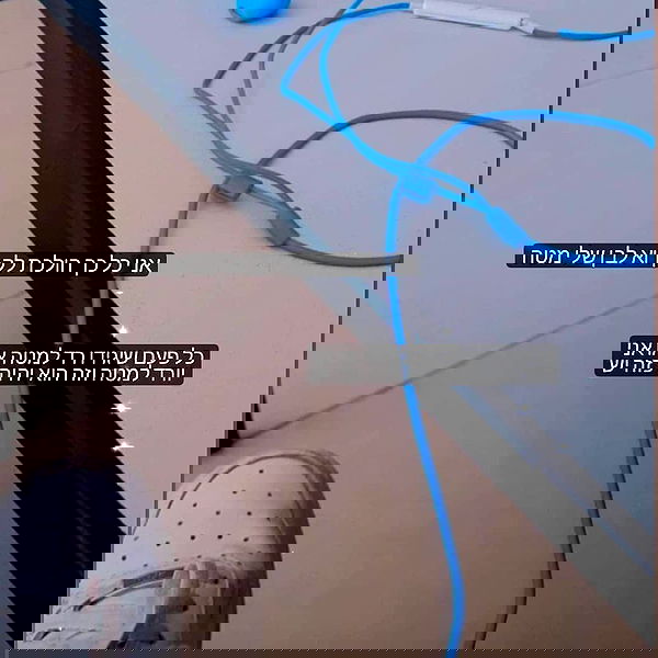 tuliprivet tuliprivet archive image