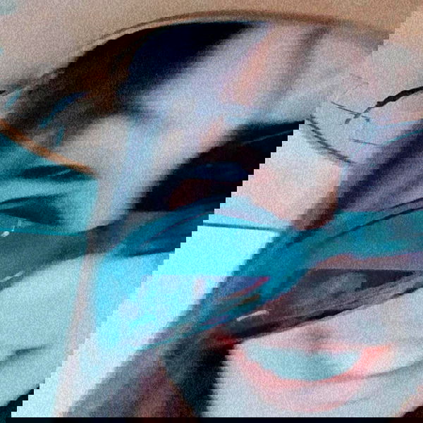 tuliprivet tuliprivet archive image