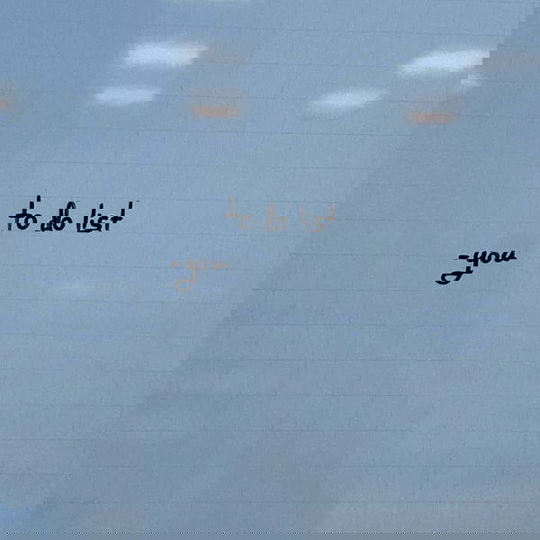 tuliprivet tuliprivet archive image