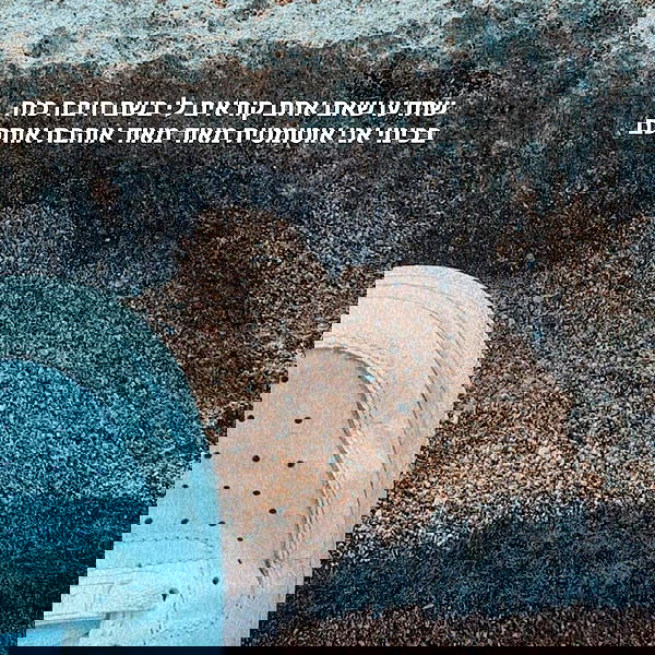 tuliprivet tuliprivet archive image