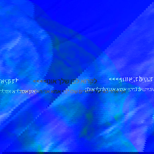 tuliprivet tuliprivet archive image