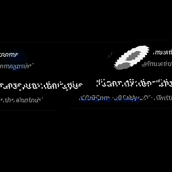 tuliprivet tuliprivet archive image