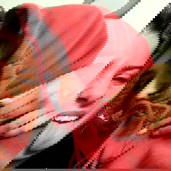 tuliprivet tuliprivet archive image