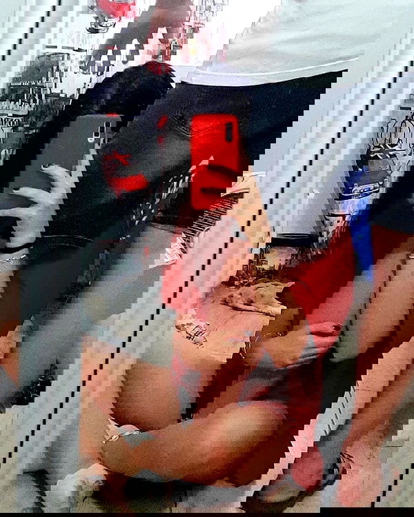 tuliprivet tuliprivet archive image