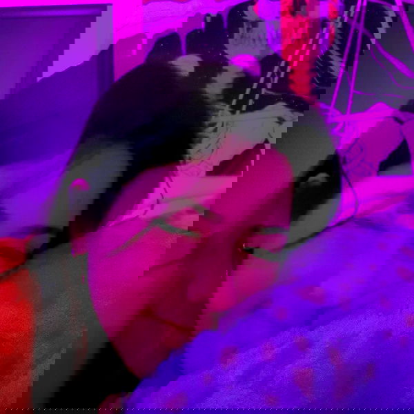 tuliprivet tuliprivet archive image