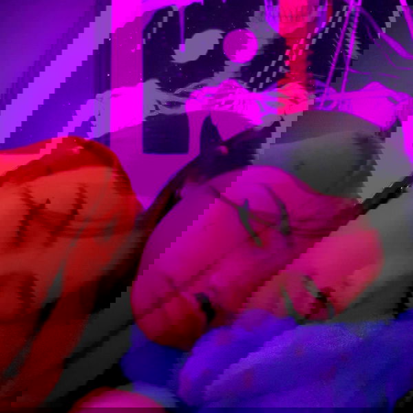 tuliprivet tuliprivet archive image