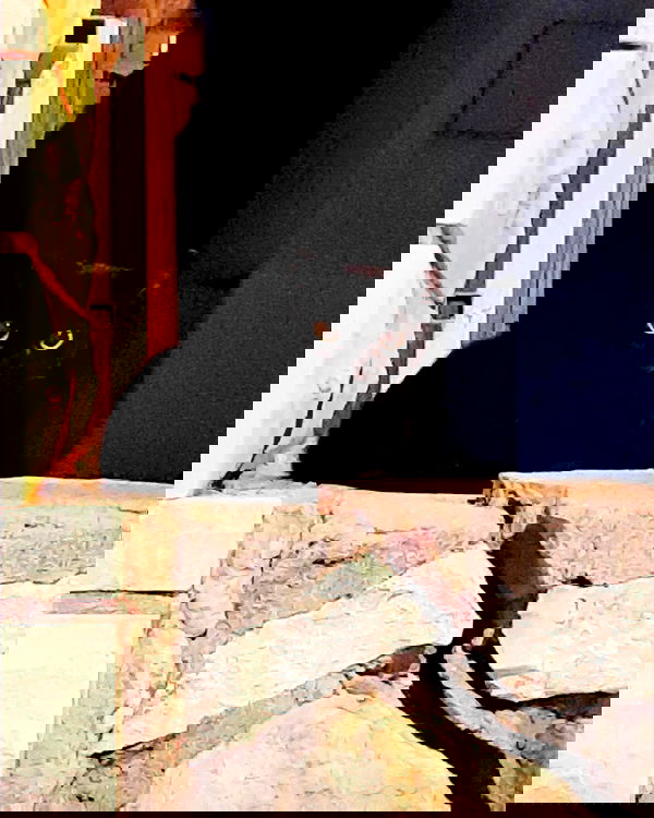 tuliprivet tuliprivet archive image