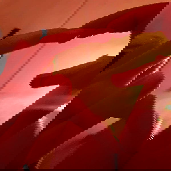 tuliprivet tuliprivet archive image