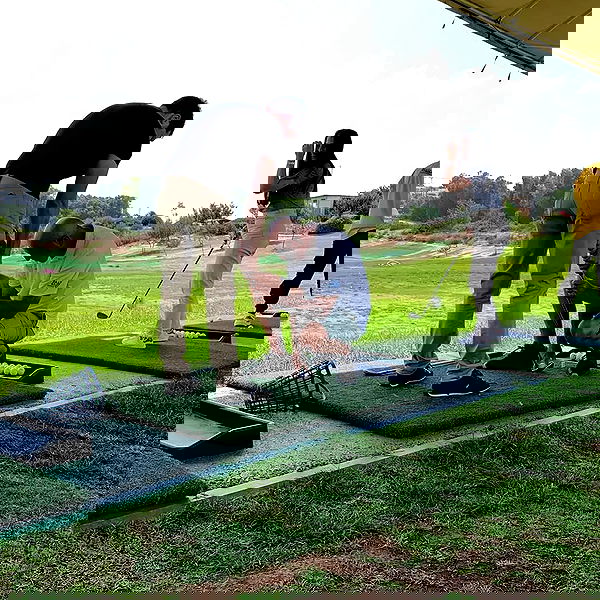 tuliprivet tuliprivet archive image