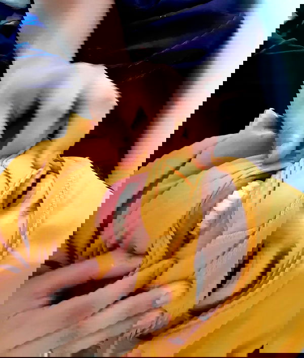 tuliprivet tuliprivet archive image