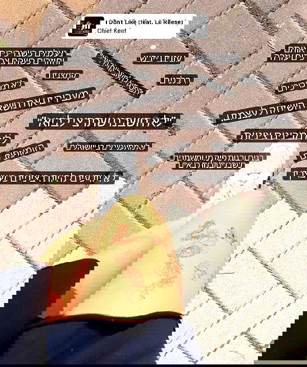 tuliprivet tuliprivet archive image