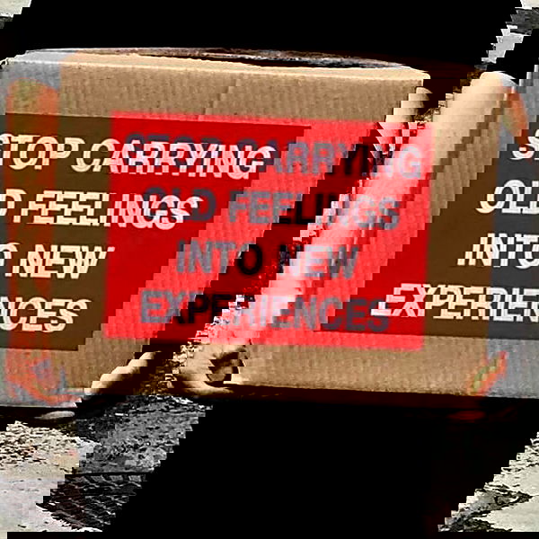 tuliprivet tuliprivet archive image