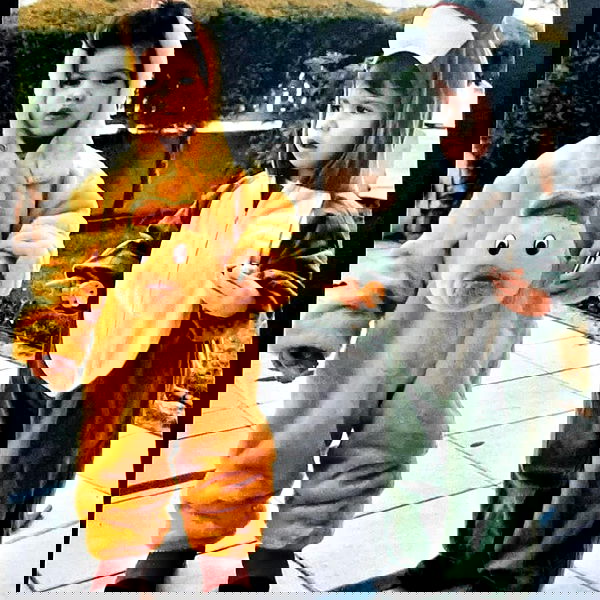 tuliprivet tuliprivet archive image