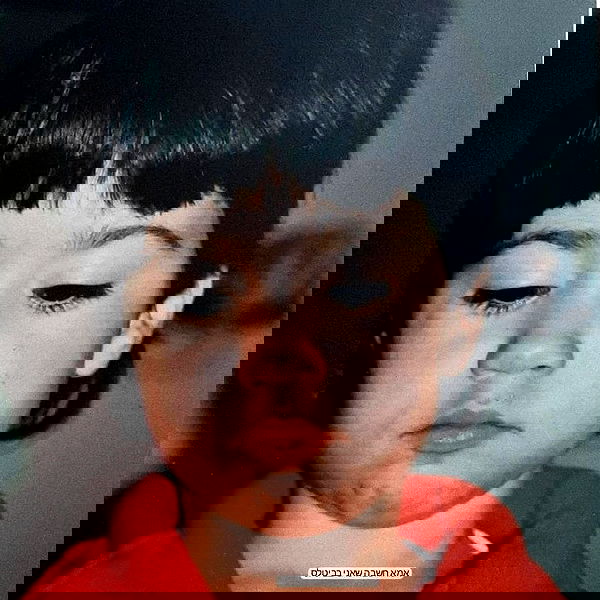 tuliprivet tuliprivet archive image