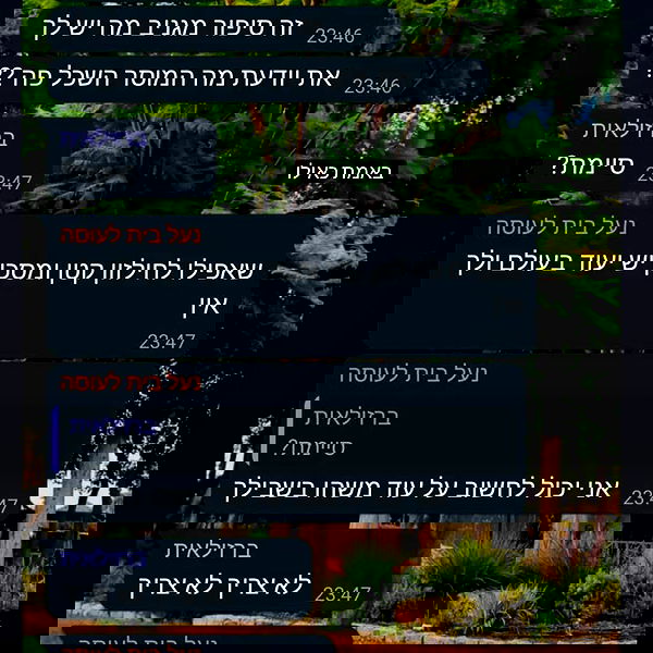 tuliprivet tuliprivet archive image