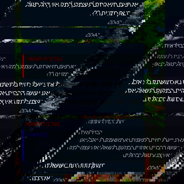 tuliprivet tuliprivet archive image