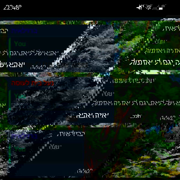 tuliprivet tuliprivet archive image