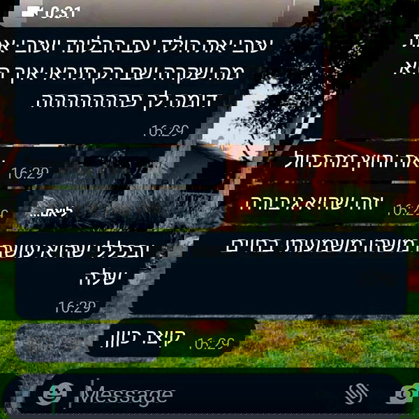 tuliprivet tuliprivet archive image