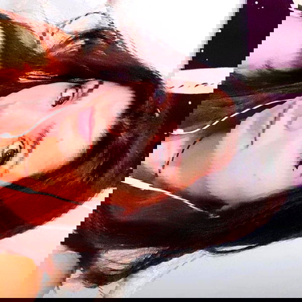 tuliprivet tuliprivet archive image