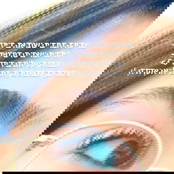 tuliprivet tuliprivet archive image