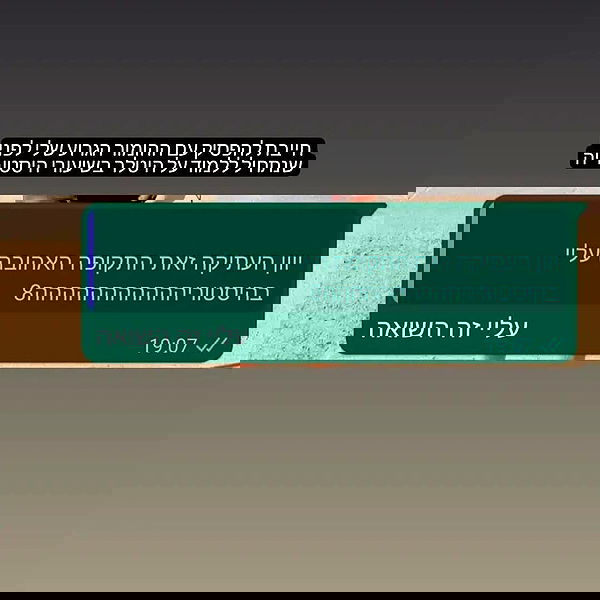 tuliprivet tuliprivet archive image