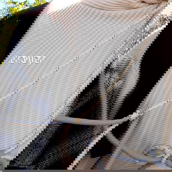 tuliprivet tuliprivet archive image