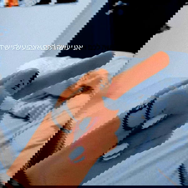 tuliprivet tuliprivet archive image