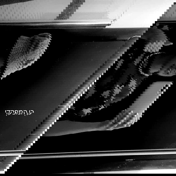 tuliprivet tuliprivet archive image