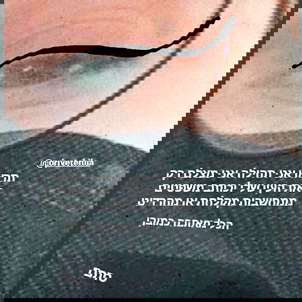 tuliprivet tuliprivet archive image