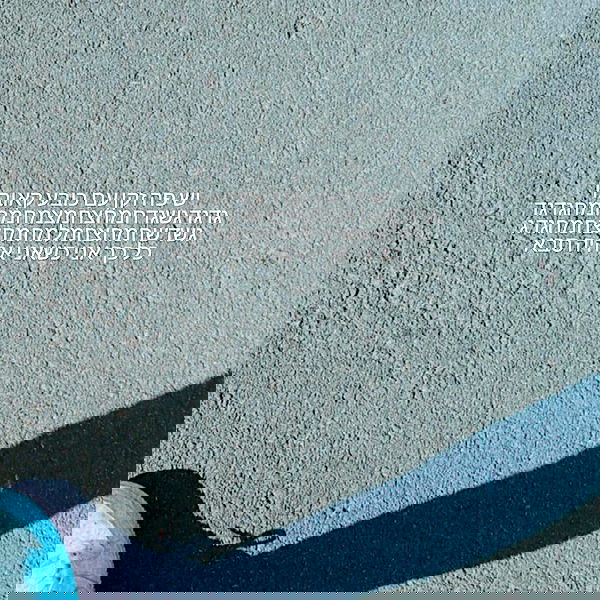 tuliprivet tuliprivet archive image