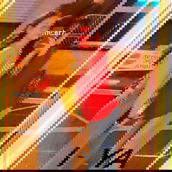 tuliprivet tuliprivet archive image