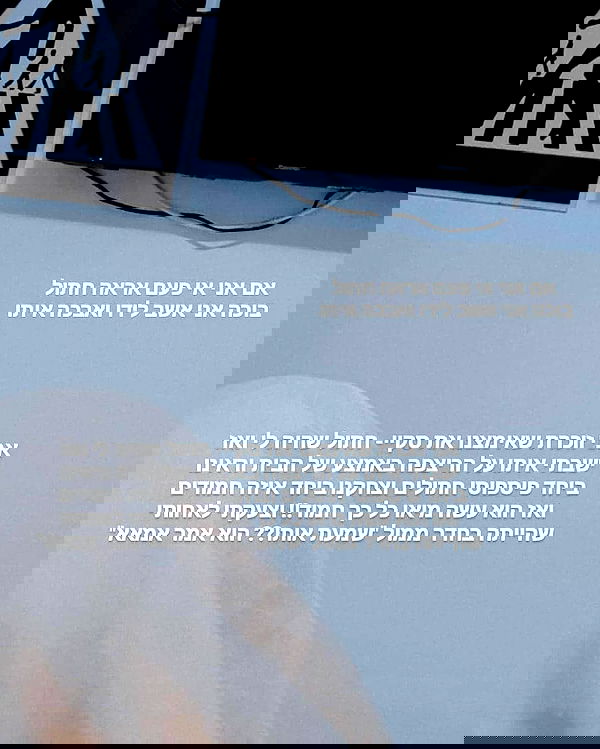 tuliprivet tuliprivet archive image