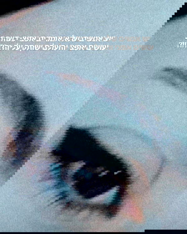 tuliprivet tuliprivet archive image